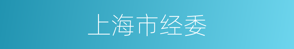 上海市经委的同义词