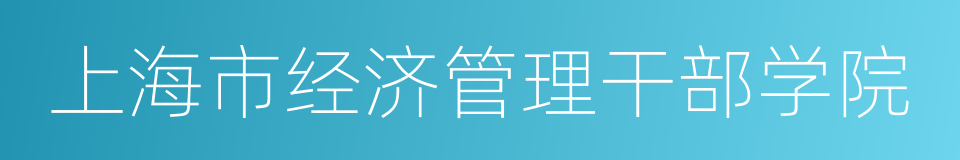 上海市经济管理干部学院的同义词