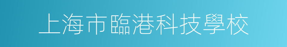 上海市臨港科技學校的同義詞