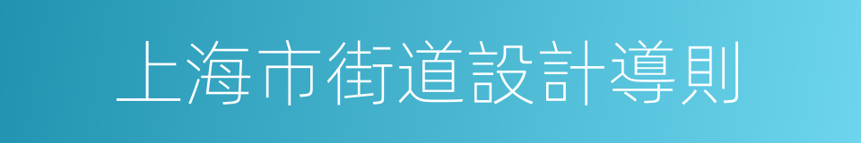 上海市街道設計導則的同義詞