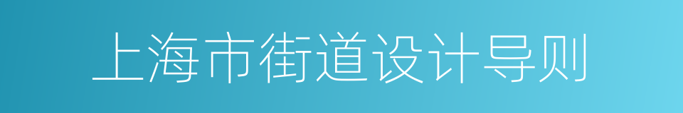 上海市街道设计导则的同义词