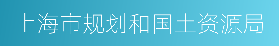 上海市规划和国土资源局的同义词