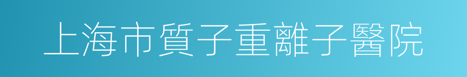 上海市質子重離子醫院的同義詞