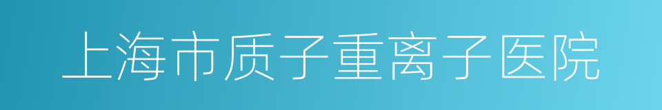 上海市质子重离子医院的同义词
