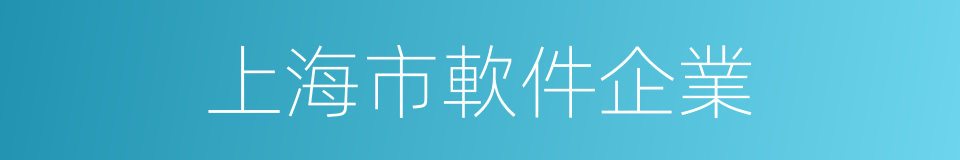 上海市軟件企業的同義詞