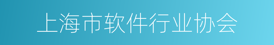 上海市软件行业协会的同义词