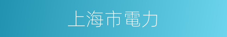 上海市電力的同義詞