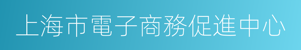 上海市電子商務促進中心的同義詞