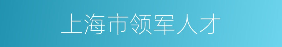 上海市领军人才的同义词