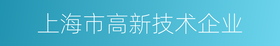 上海市高新技术企业的同义词