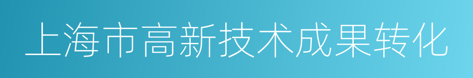 上海市高新技术成果转化的同义词