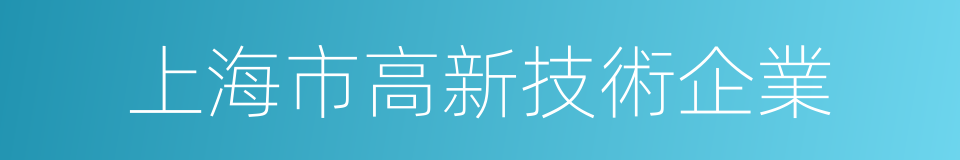 上海市高新技術企業的同義詞