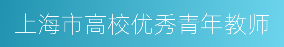 上海市高校优秀青年教师的同义词