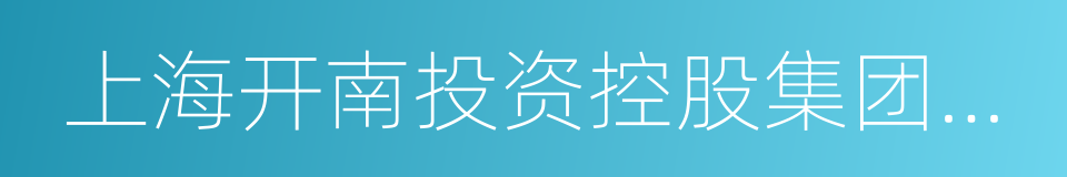 上海开南投资控股集团有限公司的同义词