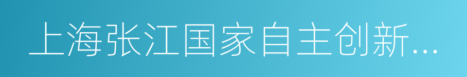 上海张江国家自主创新示范区的同义词