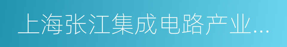 上海张江集成电路产业区开发有限公司的同义词