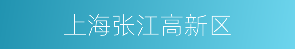 上海张江高新区的同义词