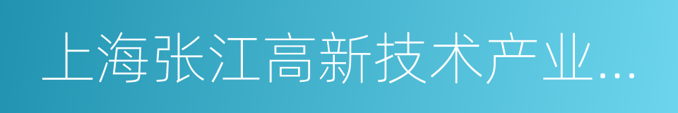 上海张江高新技术产业开发区的同义词