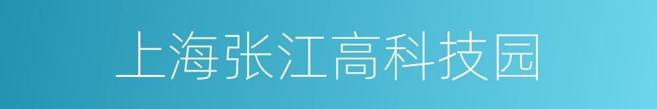 上海张江高科技园的同义词