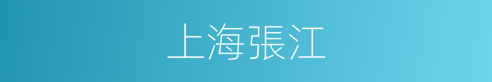 上海張江的同義詞