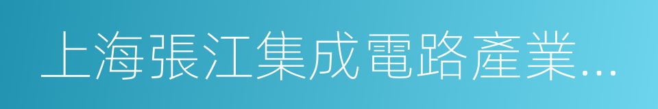 上海張江集成電路產業區開發有限公司的同義詞