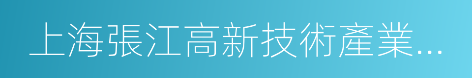 上海張江高新技術產業開發區的同義詞