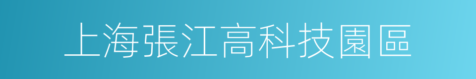 上海張江高科技園區的同義詞