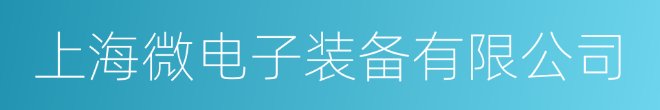 上海微电子装备有限公司的同义词