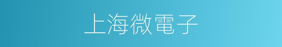 上海微電子的同義詞