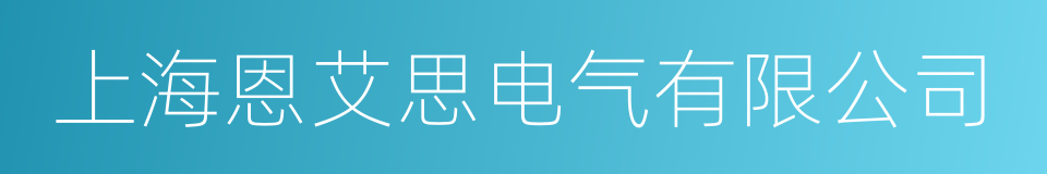 上海恩艾思电气有限公司的同义词