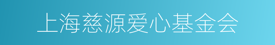 上海慈源爱心基金会的同义词