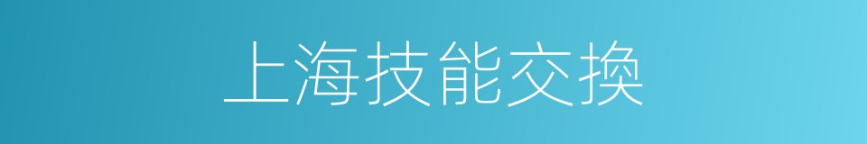 上海技能交換的同義詞