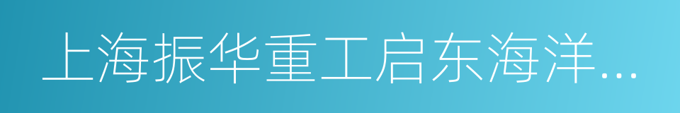 上海振华重工启东海洋工程股份有限公司的同义词