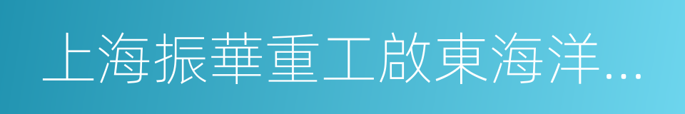 上海振華重工啟東海洋工程股份有限公司的同義詞