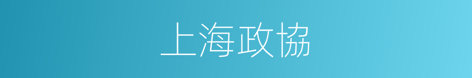 上海政協的同義詞