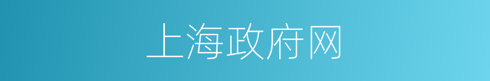 上海政府网的同义词