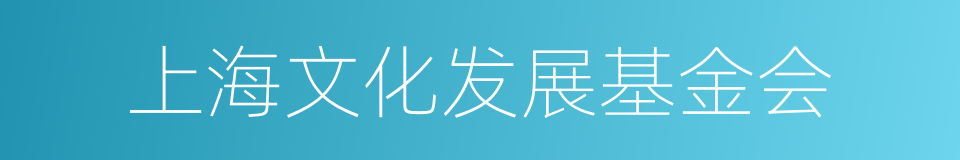 上海文化发展基金会的同义词