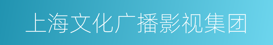 上海文化广播影视集团的同义词