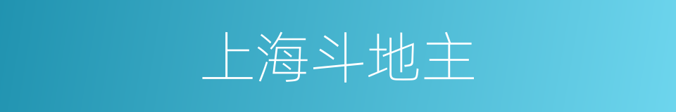 上海斗地主的同义词