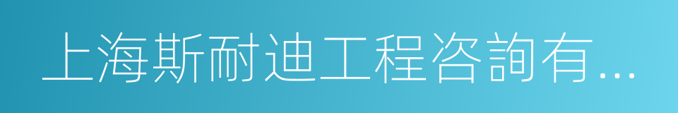 上海斯耐迪工程咨詢有限公司的同義詞
