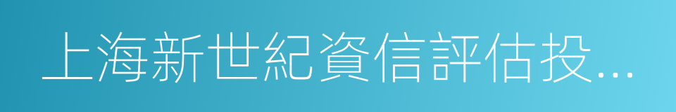 上海新世紀資信評估投資服務有限公司的同義詞