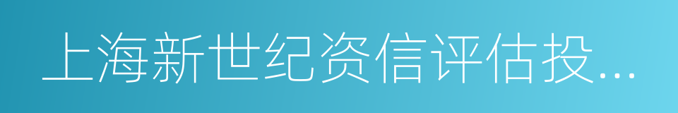 上海新世纪资信评估投资服务有限公司的同义词