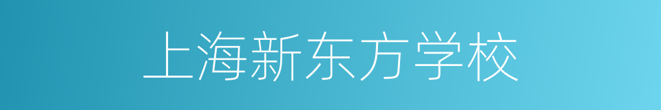 上海新东方学校的同义词
