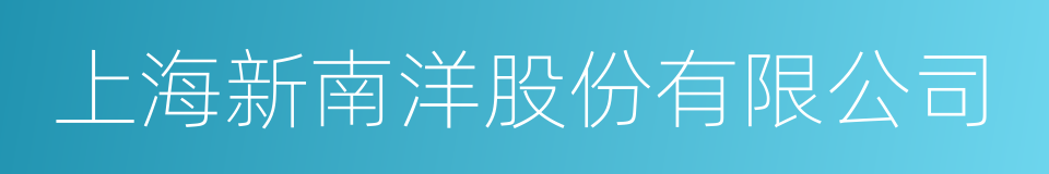 上海新南洋股份有限公司的同义词