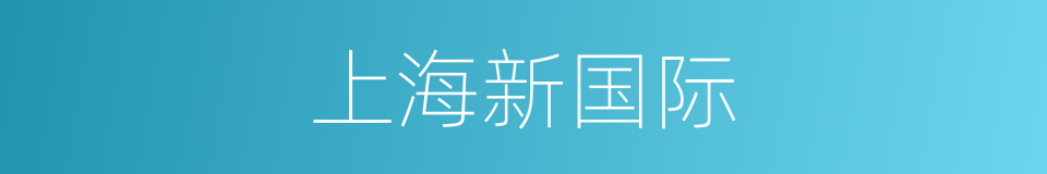 上海新国际的同义词