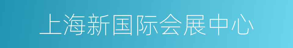 上海新国际会展中心的同义词