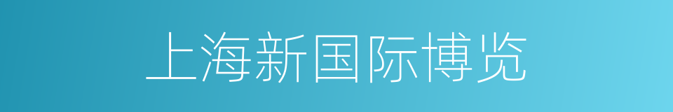 上海新国际博览的同义词