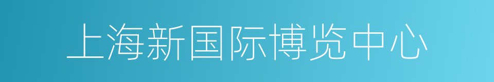 上海新国际博览中心的同义词