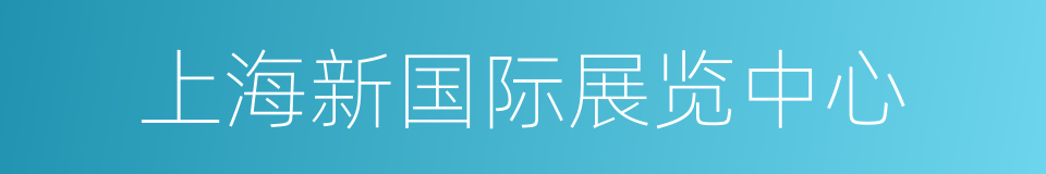 上海新国际展览中心的同义词