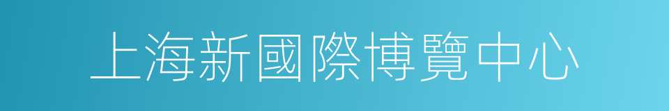 上海新國際博覽中心的同義詞
